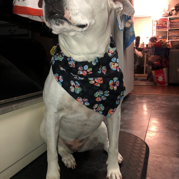 Dog or cat scarfs scarfs for over the collars - Picture 9 of 10